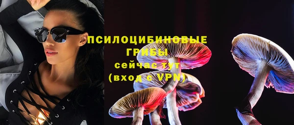прущий лед Белокуриха
