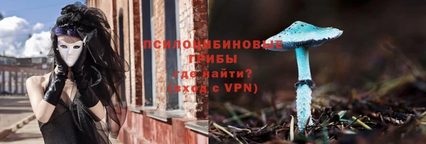 ПСИЛОЦИБИНОВЫЕ ГРИБЫ Осинники