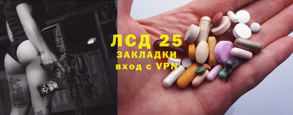 ПСИЛОЦИБИНОВЫЕ ГРИБЫ Осинники