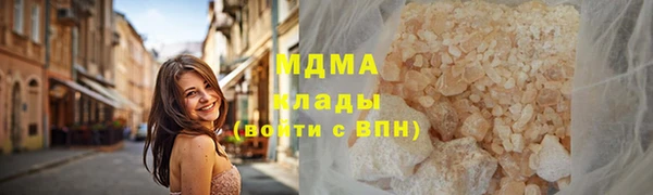 ПСИЛОЦИБИНОВЫЕ ГРИБЫ Осинники