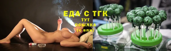 гашик Осташков
