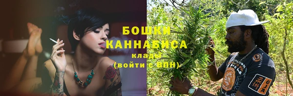 дмт Пестово
