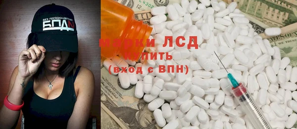 ПСИЛОЦИБИНОВЫЕ ГРИБЫ Осинники