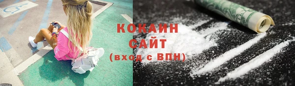 ПСИЛОЦИБИНОВЫЕ ГРИБЫ Осинники