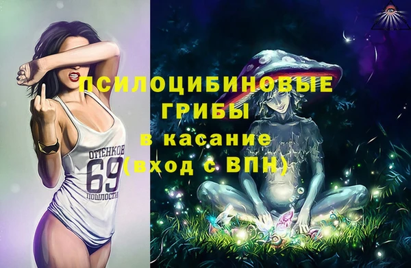 гашик Осташков