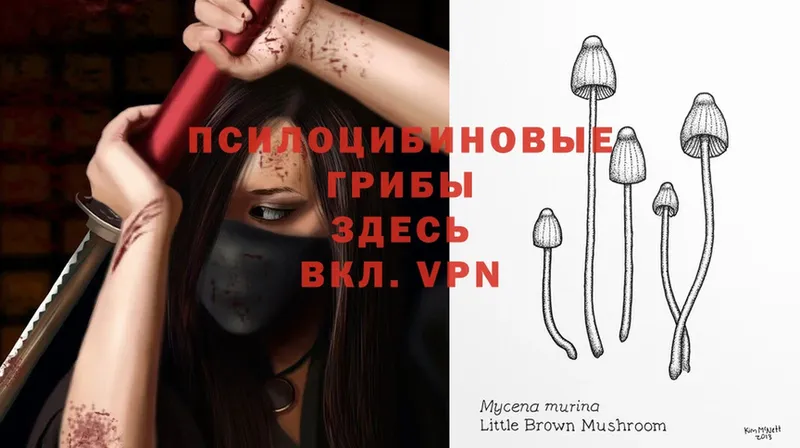 Псилоцибиновые грибы Magic Shrooms  Миасс 