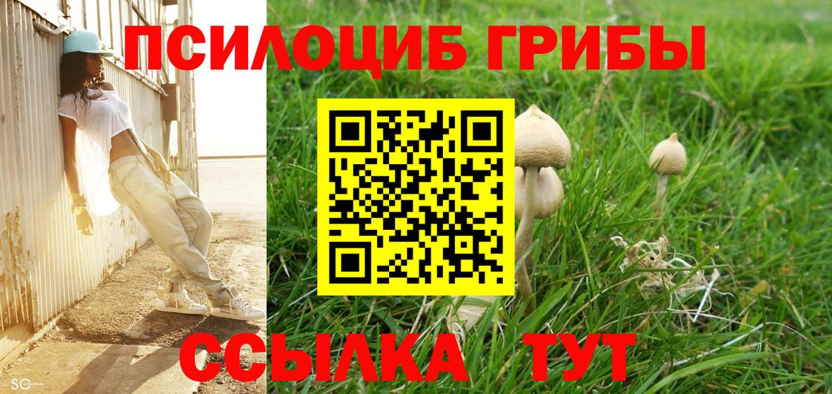 Псилоцибиновые грибы Psilocybine cubensis Миасс