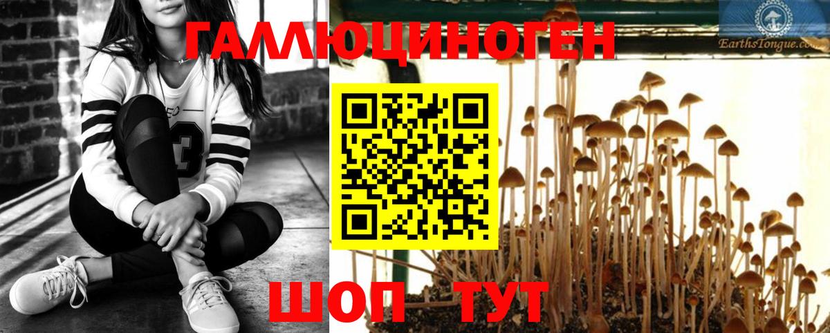 Псилоцибиновые грибы GOLDEN TEACHER  Миасс 