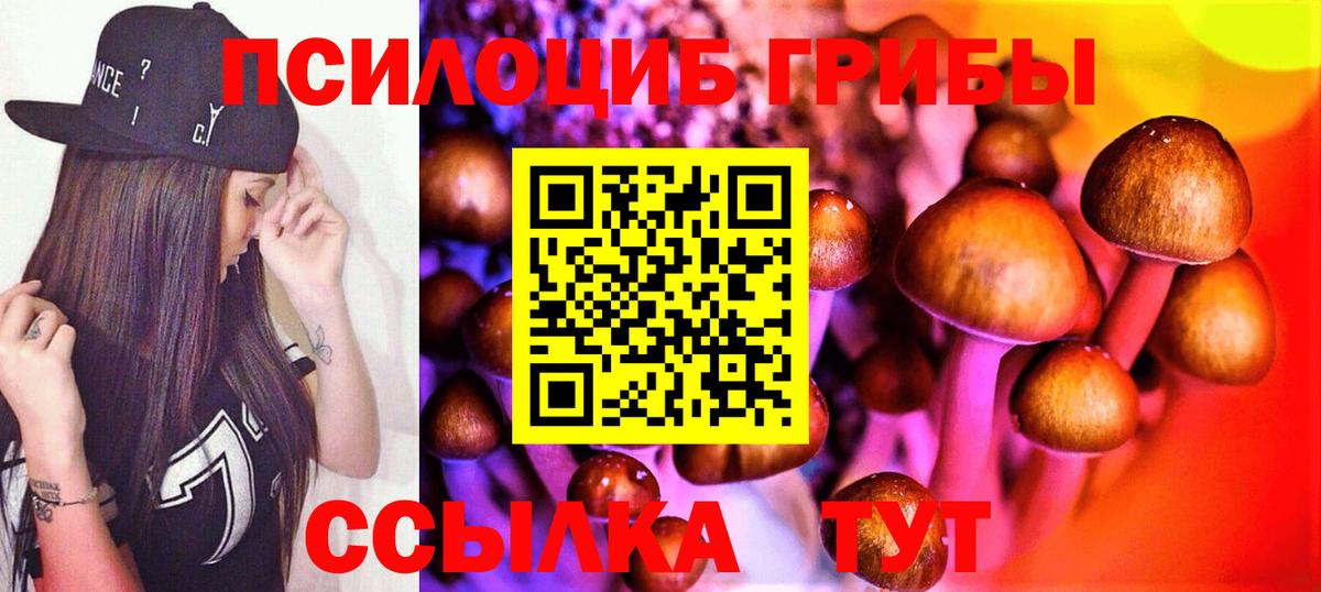 Псилоцибиновые грибы прущие грибы  Вход с VPN  Миасс 