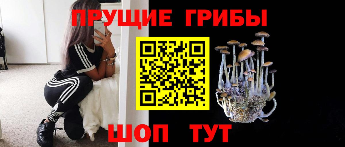 Галлюциногенные грибы Cubensis Миасс