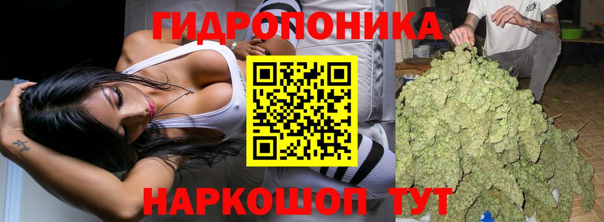 Бошки Шишки план Миасс